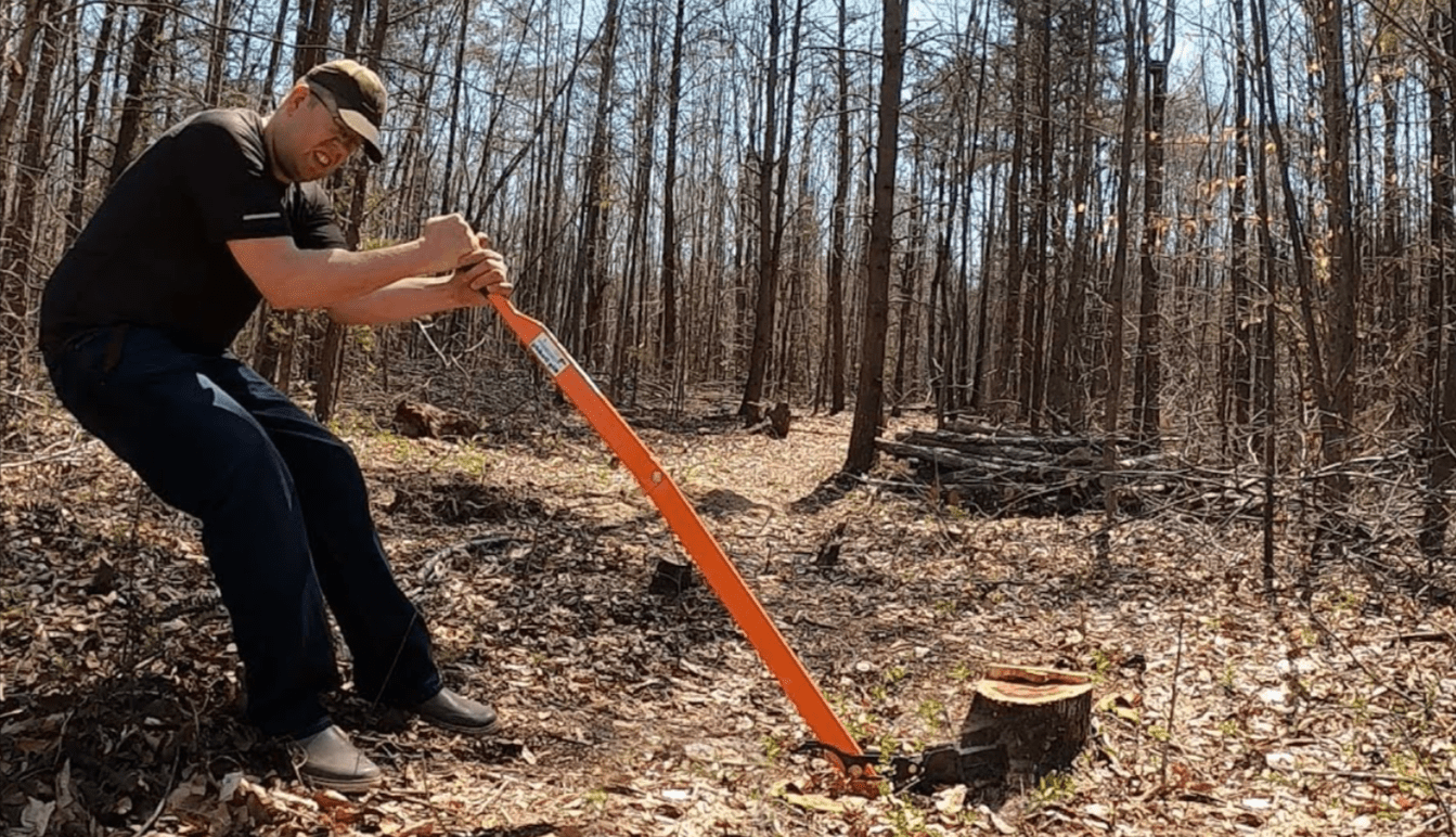 How to Safely Remove a Tree Stump: 5 Quick Methods